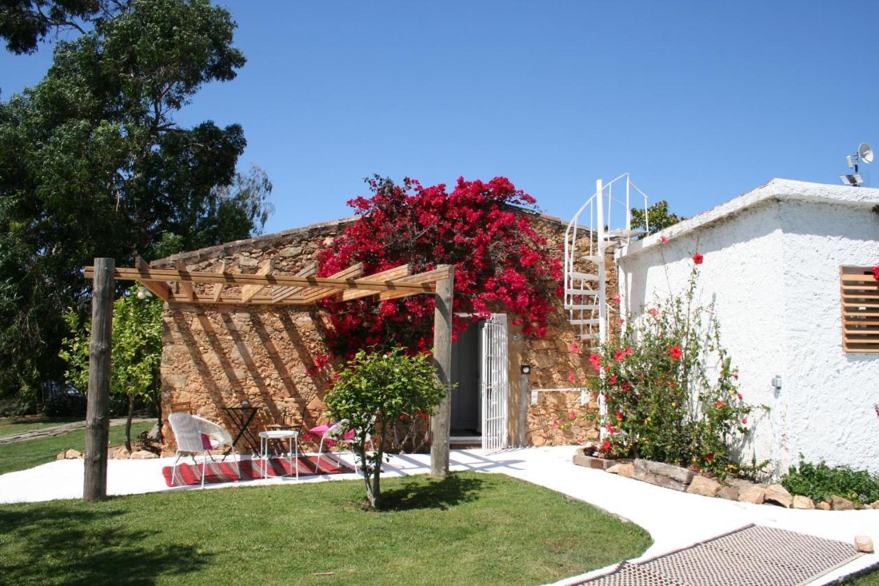 Le Rondini Bed & Breakfast Montrás Exterior photo