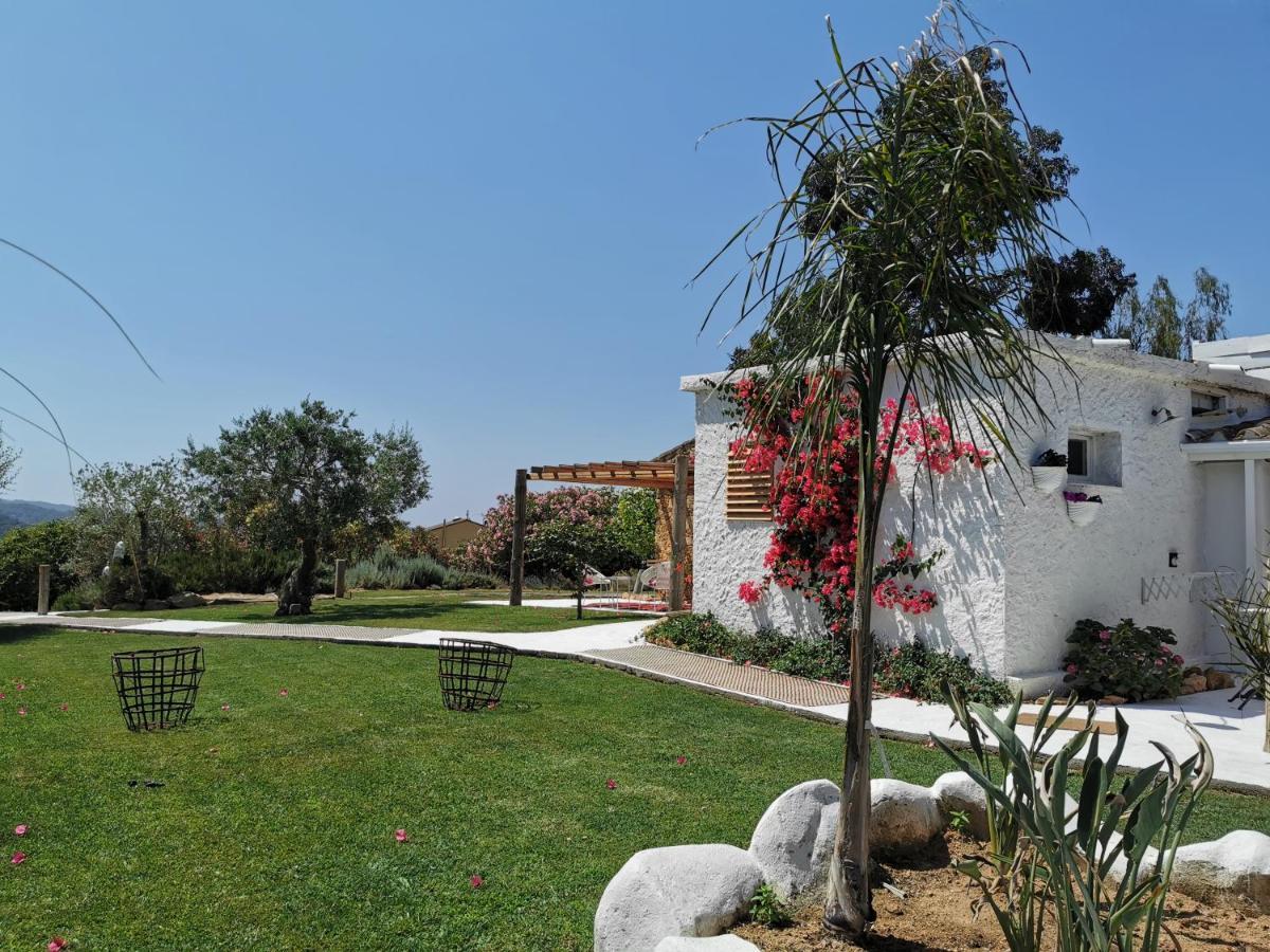 Le Rondini Bed & Breakfast Montrás Exterior photo